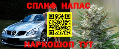 тгк Канаш